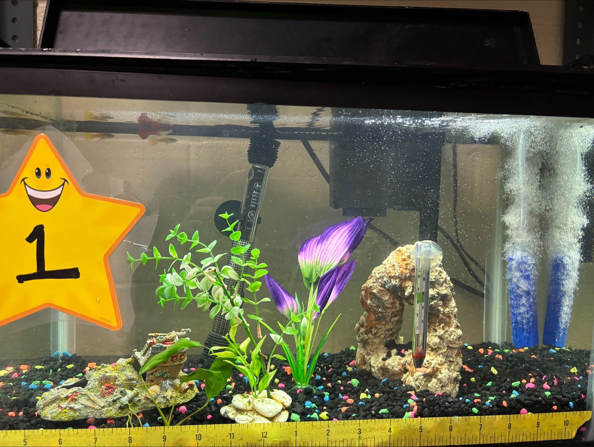 Elementary Middle School Pbl Workshop For Deeper Learning - Best Minimal Photos in 4K